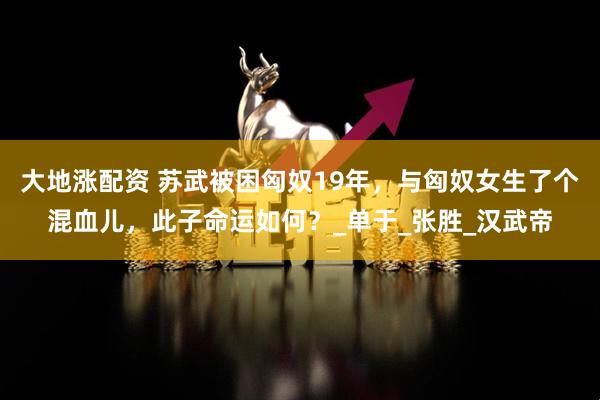 大地涨配资 苏武被困匈奴19年，与匈奴女生了个混血儿，此子命运如何？_单于_张胜_汉武帝