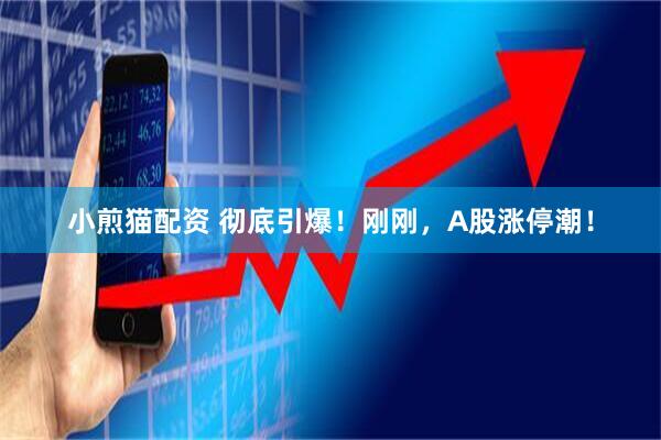 小煎猫配资 彻底引爆！刚刚，A股涨停潮！