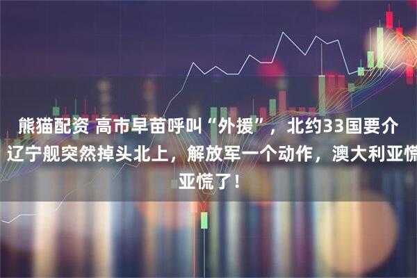 熊猫配资 高市早苗呼叫“外援”,北约33国要介入?辽宁舰突然掉头北上,解放军一个动作,澳大利亚慌了!